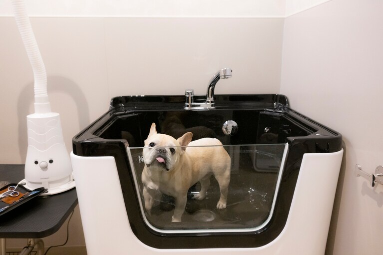 トリミングルームに設置されたペット用のバスタブは、中型犬も余裕で入れるゆったりサイズ。