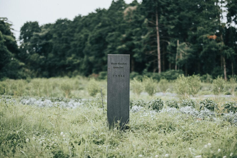 THREEのハーブガーデン