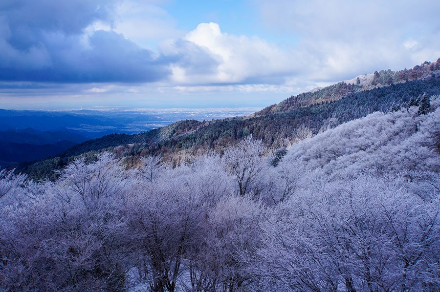 【大阪府】大和葛城山の樹氷。