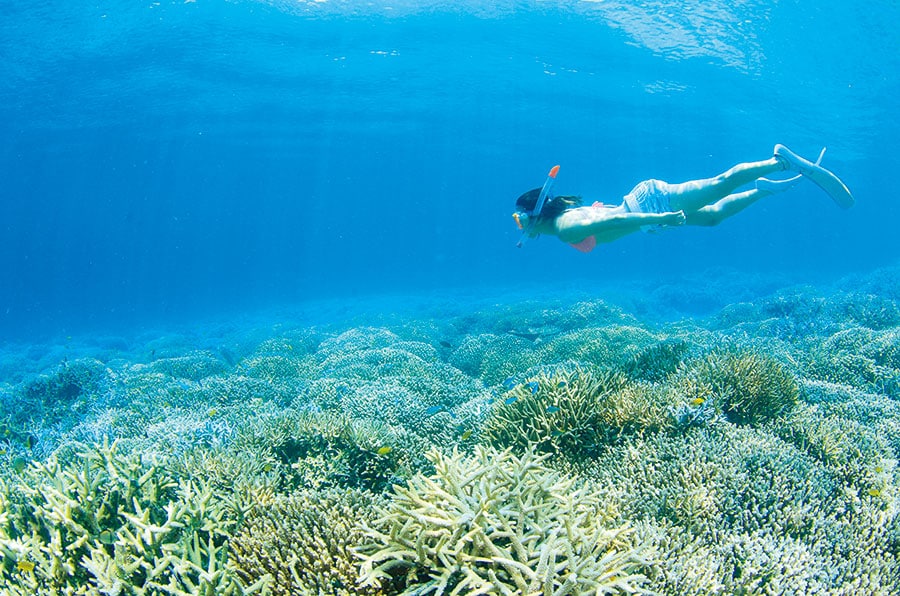 【西表島】シュノーケリングで、海の底に広がる絶景を満喫。