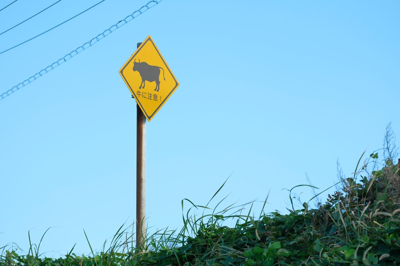 撮影：橋本篤。