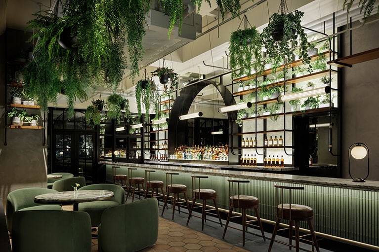 店内が緑で彩られ、スタイリッシュでありながら自然の豊かさを感じられるバー「VIVARIUM（ビバリウム）」。