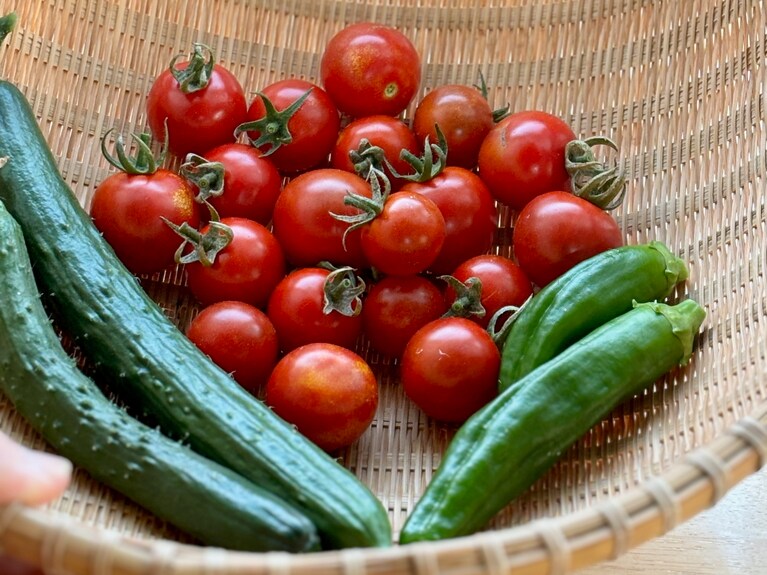 夏野菜は体を冷やしてくれる性質が。