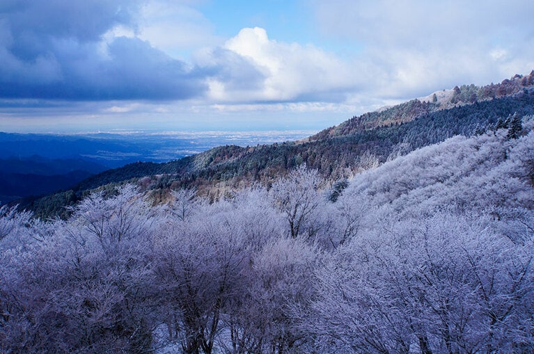 大和葛城山の樹氷。