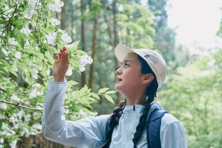 ヒメウツギの花。