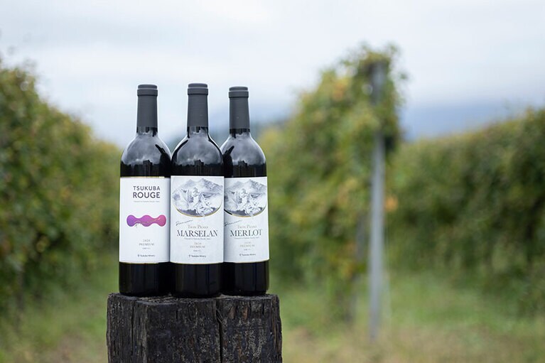 水はけのいい土地、山から吹き下ろす冷涼な風がブドウを育み、極上のワインとなる。