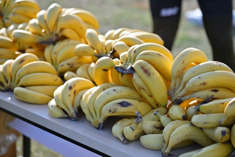 「SPECIALIZED DAY 2024 in Chiba supported by You Port」の様子