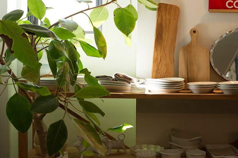 ほかでは見ることのできない選りすぐりのアイテムが揃ったお店「ザ テイストメイカーズ＆コー」。