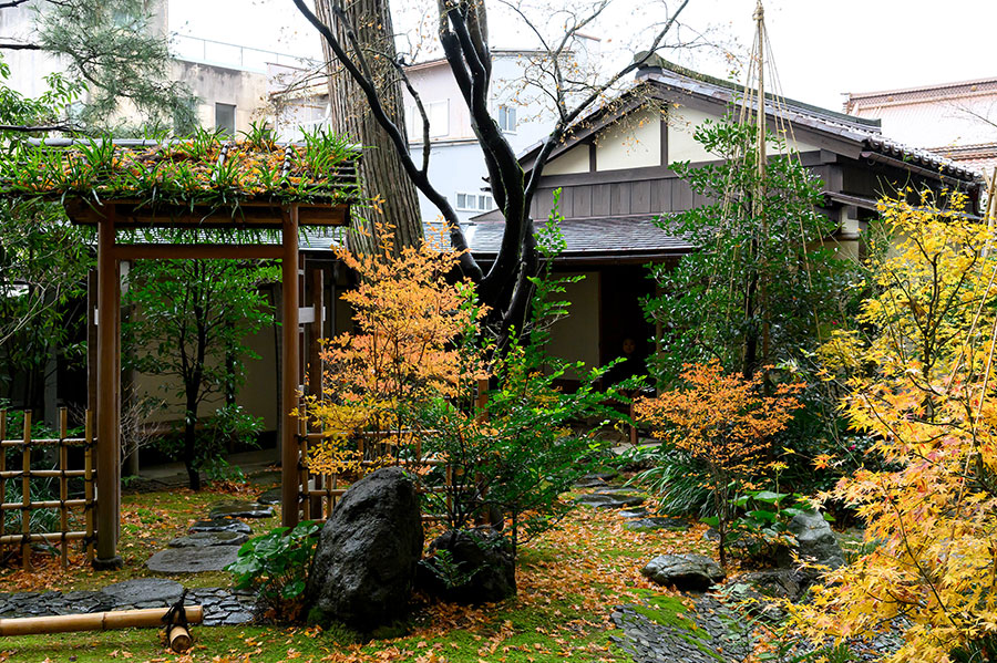 四季折々の表情を見せる茶庭と、国の有形文化財にも登録された茶室「思惟庵」。