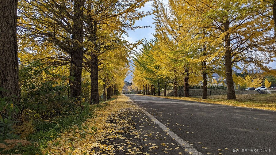 【2023年版】 いつか行きたい! 日本の秋の絶景 西日本篇まとめ《全260スポット》① | 今こそ行きたい! 「日本にしかない風景」再発見 ...