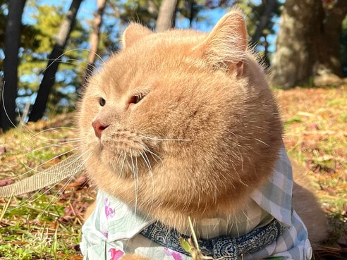 奇跡の瞬間部門