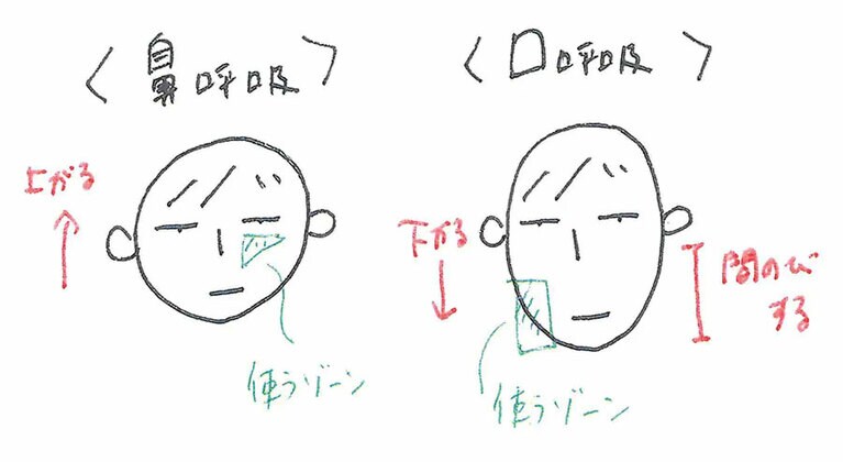 口呼吸では、顔が間のびしていく(実感より)。