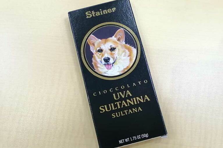 STAINER(スタイナー)の干しブドウ入り64％チョコタブレット。
