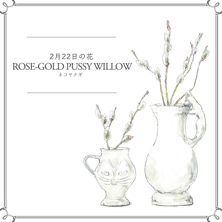 2月22日の花「ネコヤナギ」