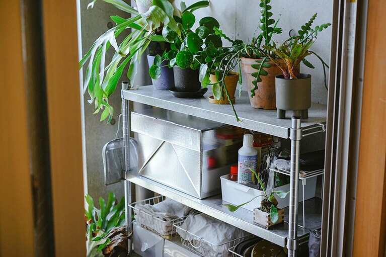 土や植え替えの道具などは、バルコニーのラックにまとめて。