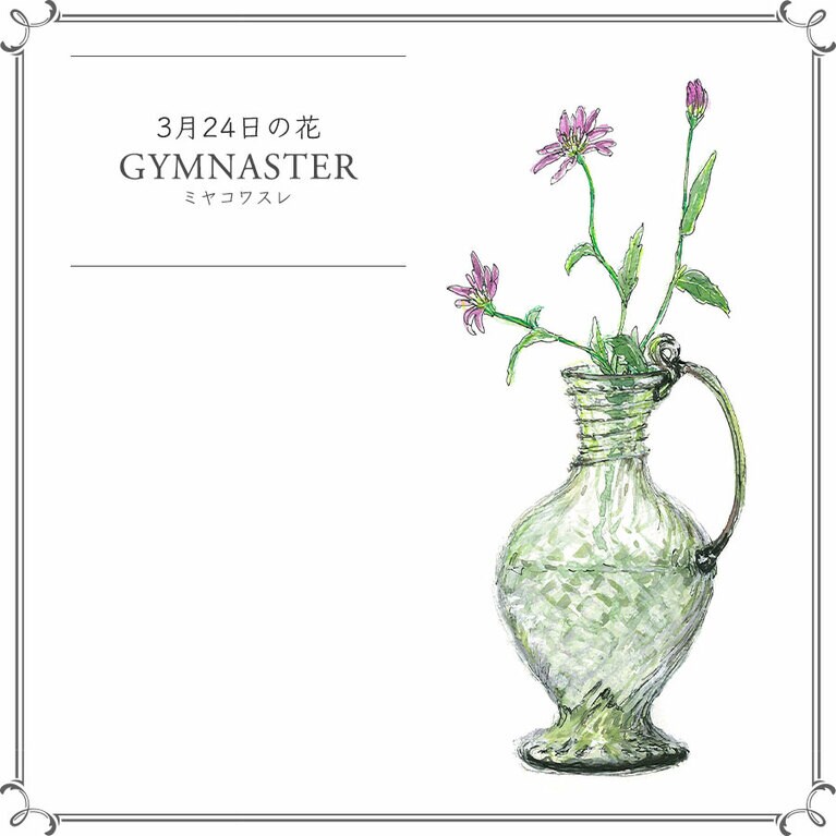 3月24日の花「ミヤコワスレ」