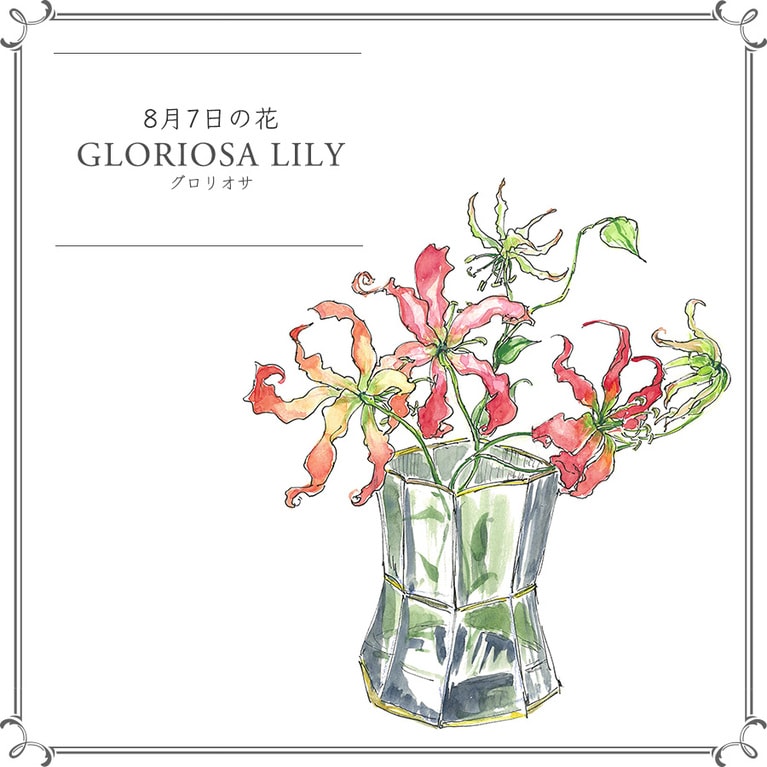 8月7日の花「グロリオサ」