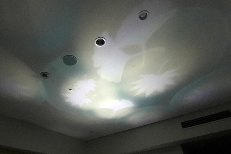 天井に投影された紅葉のデザイン。