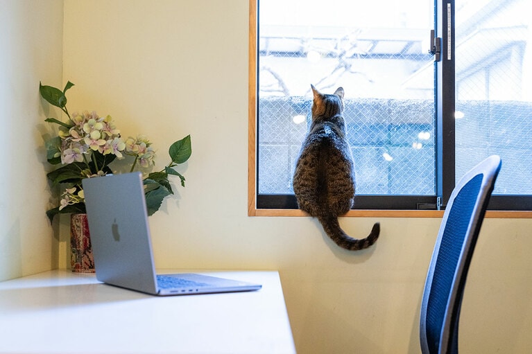 外の様子を見る小波ちゃん。