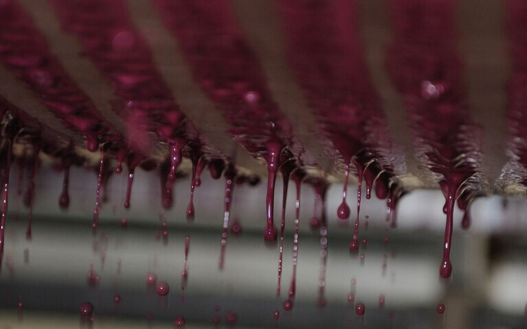 美味しい果汁の香りに包まれた圧搾。