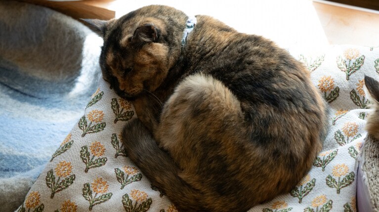 これでもしっかり働いています。