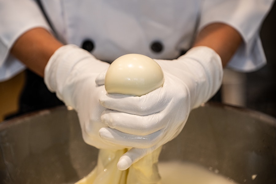 「ファーム星野」では、モッツァレラなどのフレッシュチーズ作りを工房で手がけ、その仕上げの様子を見学できることも。