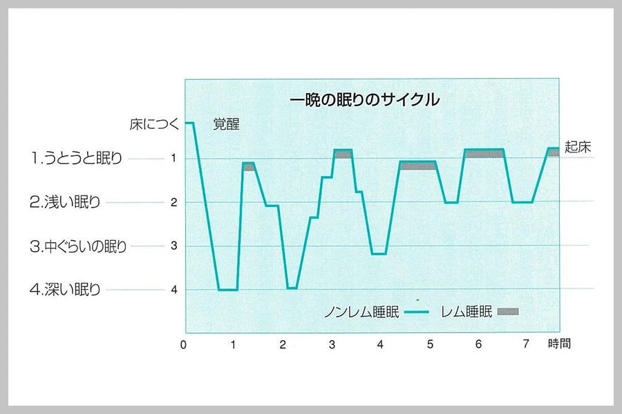 理想的な眠りの波形。最初の2回のノンレム睡眠時に、成長ホルモンが多く分泌される。(資料提供・西川)