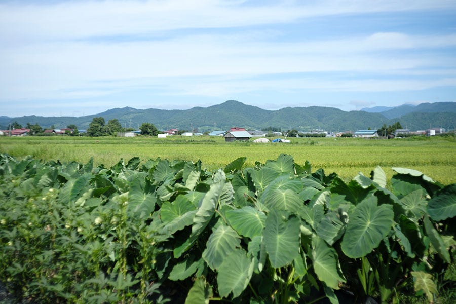 西は朝日山地、東は奥羽山脈、南は吾妻山系などに囲まれた置賜盆地。