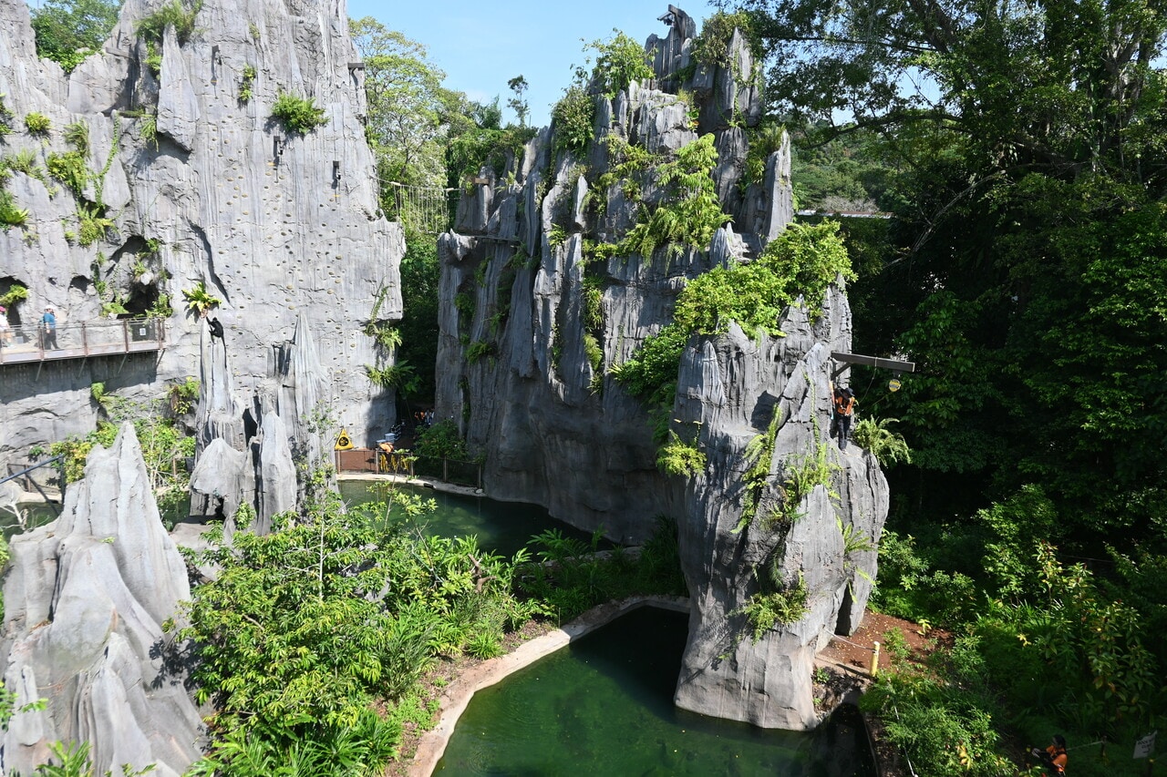 動物が生息するエリアのすぐ真横でロッククライミングをする観光客を発見！