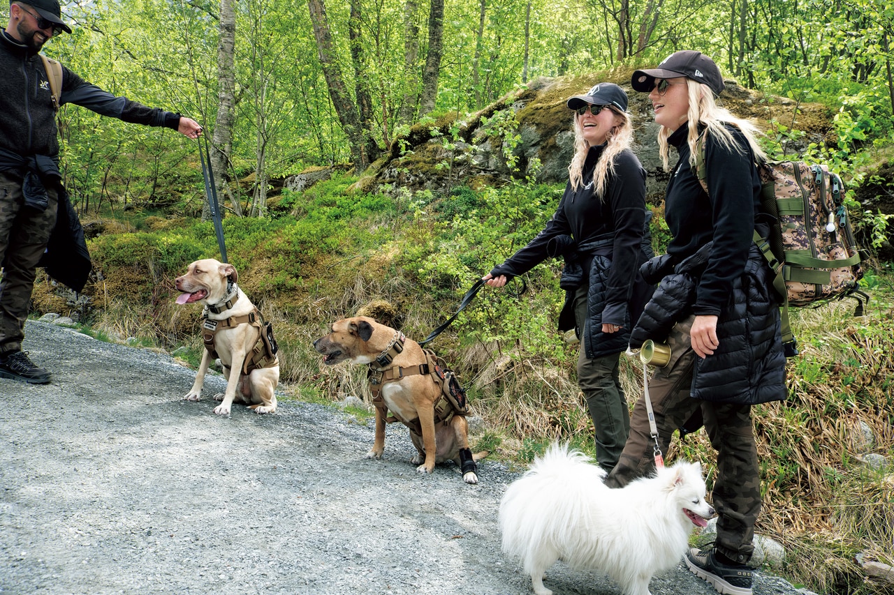 オルデンの山道で出会った訓練中の警備犬たち。