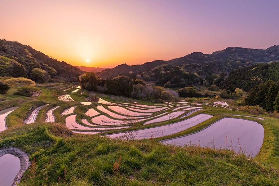 大山千枚田。写真：Hiroyoshi_Kushino/イメージマート