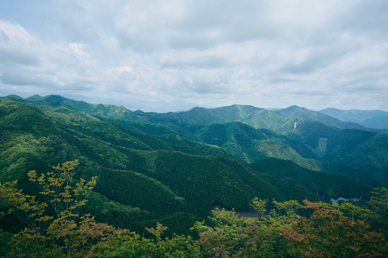 山頂からの絶景。