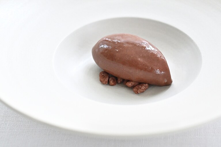 なめらかな口溶けとカカオの風味に圧倒される、「ワイルドカカオのシャーベット」。