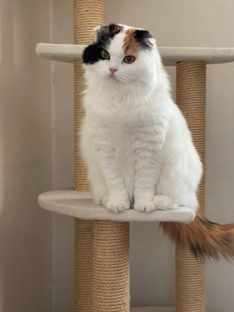 きのこ ♀ 14歳。