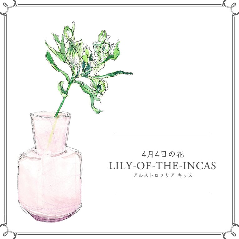 4月4日の花「アルストロメリア キッス」