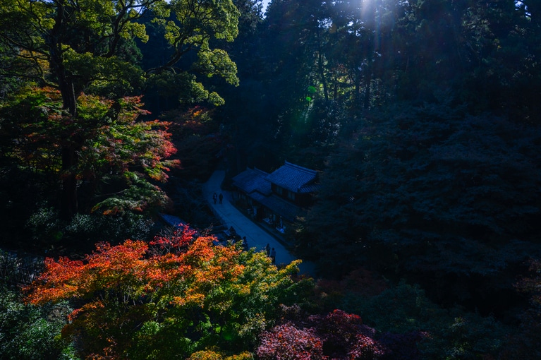 書寫山圓教寺。