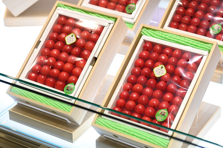 さくらんぼの王様「佐藤錦」。初夏の風物詩としても親しまれている。