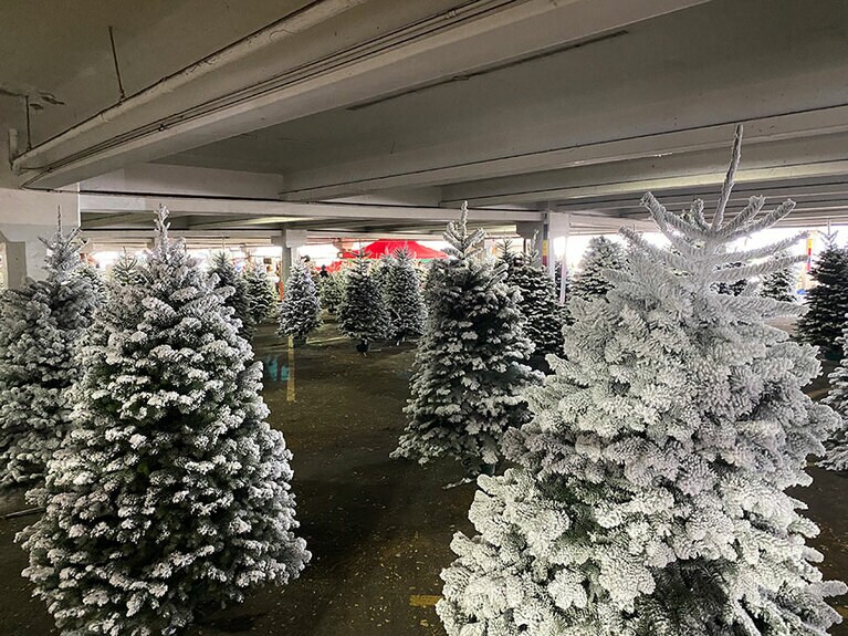 紐が解いた後にペイントを吹き付けてスノーツリーにし、アラモアナセンターの駐車場１階に並べて販売します。