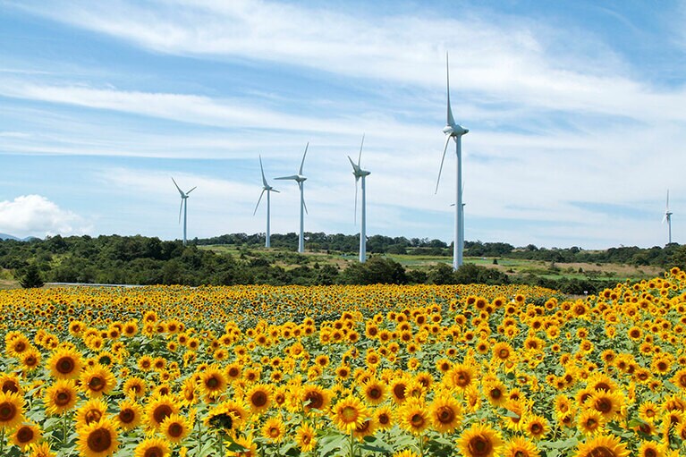 【福島県】布引風の高原。