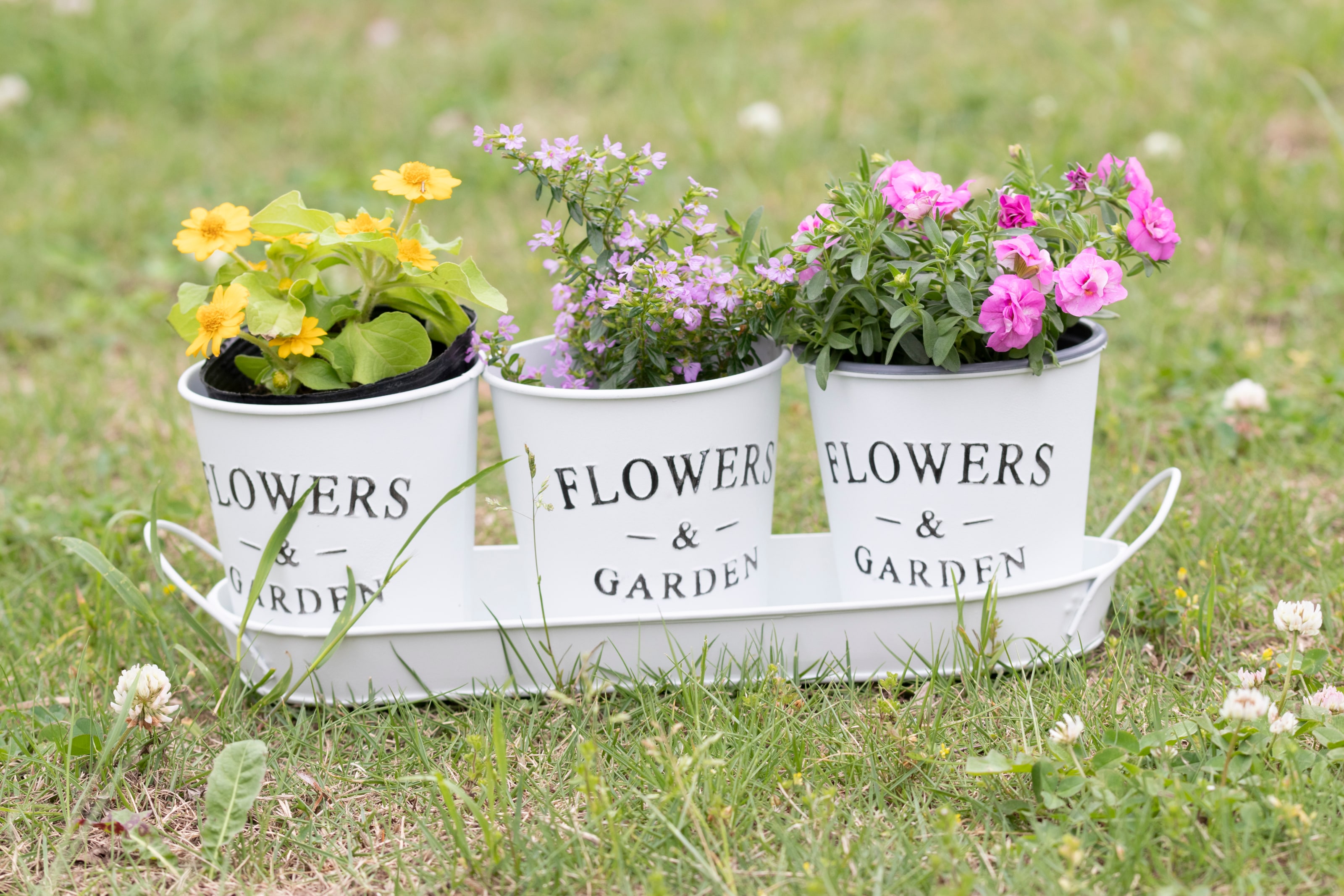 ©hika_chan/イメージマート