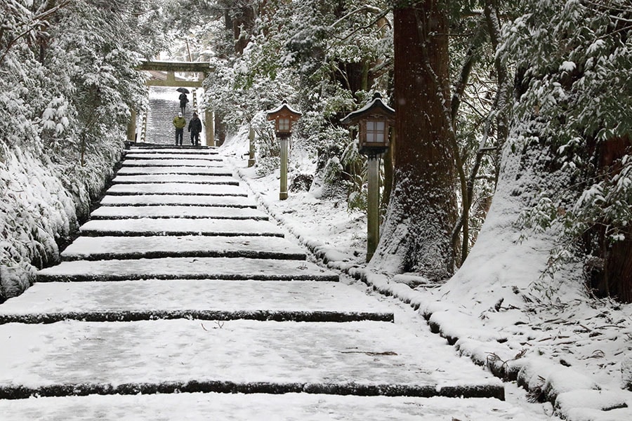 【石川県】白山比咩神社の表参道。©白山市観光連盟
