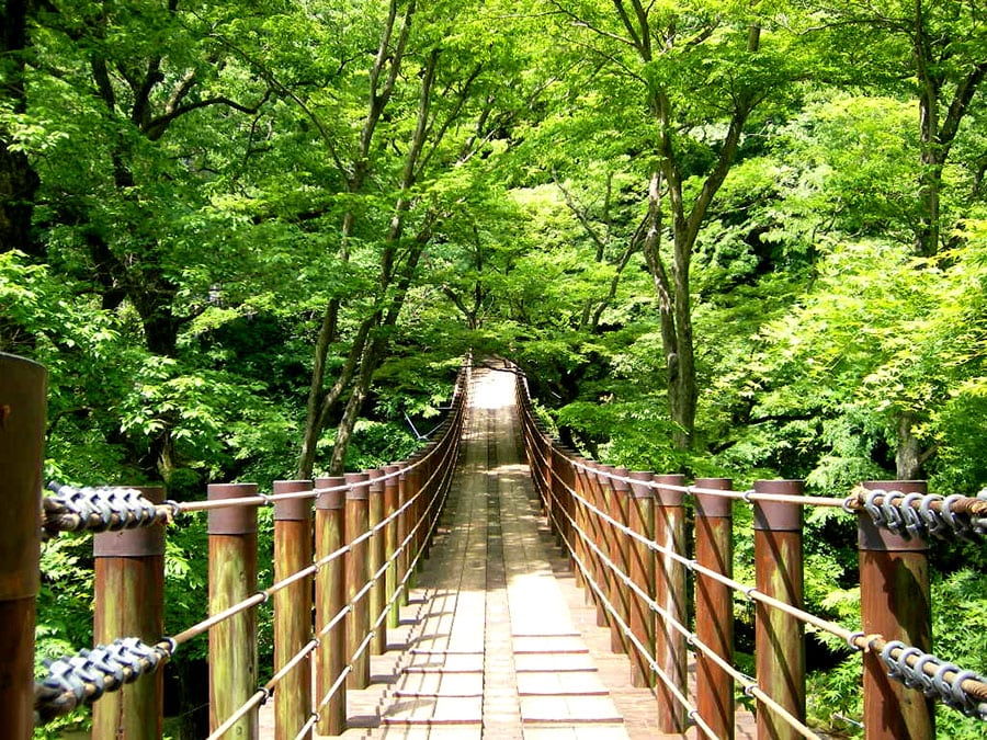 花貫渓谷の吊り橋。