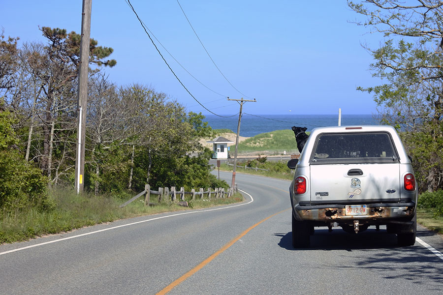 ケープコッドの道は快適に運転できます。スピードの出しすぎにご注意を。