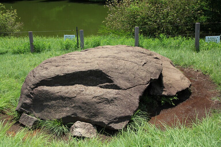 明治神宮の「亀石」。