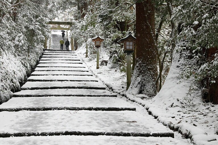 白山比咩神社の表参道。©白山市観光連盟