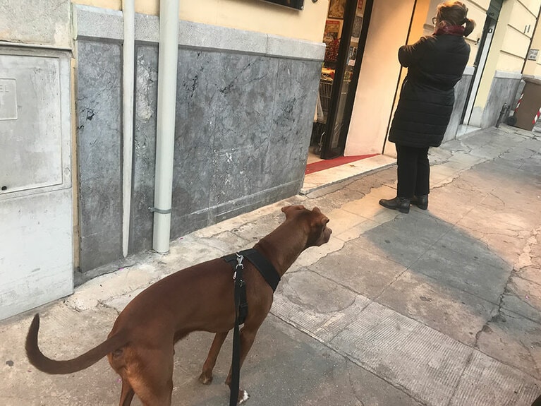 入店時に並ぶときは今まで通り距離を保って。