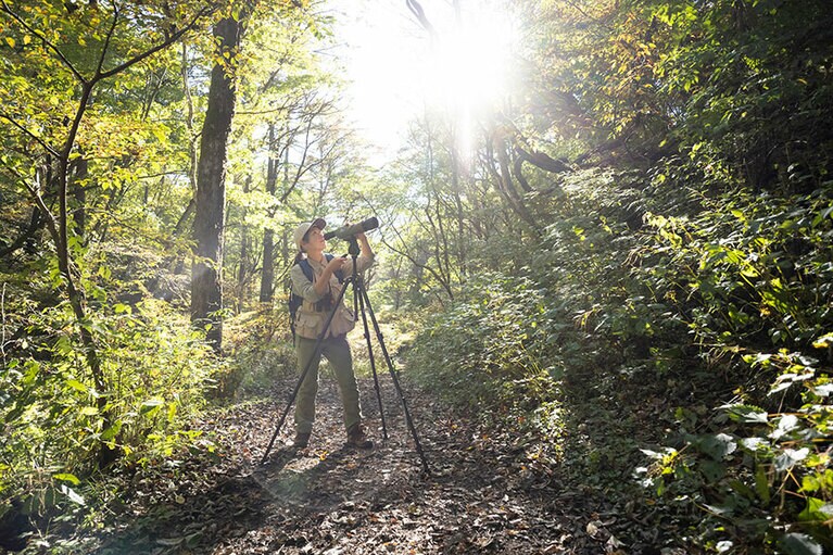 野生の動植物の専門家による楽しくも深いガイドに好奇心が刺激される。
