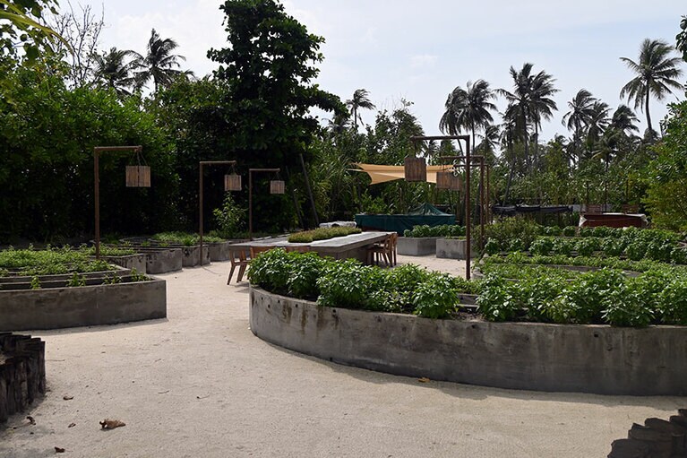 ハーブガーデンの中にテーブルをセット。プラントベースのメニューを供する「ルーツ」。