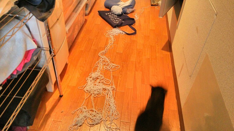 毛糸でまだ遊んでいた頃。