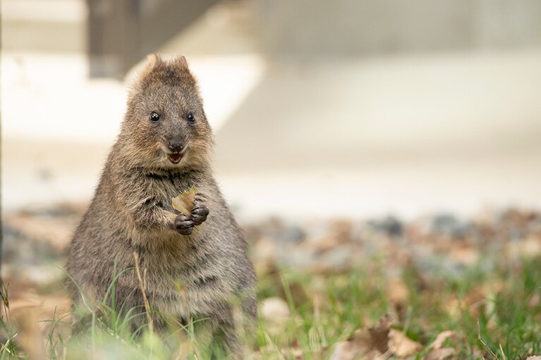 なにかにびっくりしているのかな？